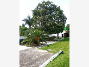 Terreno en venta en Cuernavaca Centro, Cuernavaca — foto 2 de 7