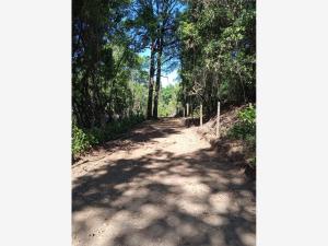 Terreno en venta en Mesa de Dolores Primera Sección (Mesa del Rayo), Valle de Bravo — foto 2 de 3