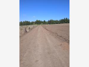 Terreno en venta en Mesa de Dolores Primera Sección (Mesa del Rayo), Valle de Bravo — foto 3 de 3