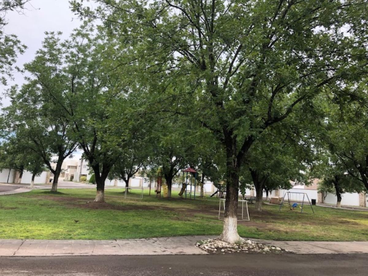 Terreno en Venta en Las Trojes, Torreón, Coahuila de Zaragoza
