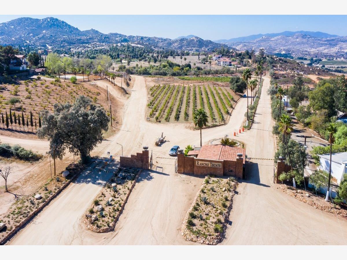 Terreno en venta en Tecate, Tecate — foto 1 de 6