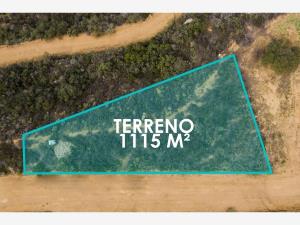 Terreno en venta en Tecate, Tecate — foto 3 de 6