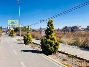 Terreno en renta en Piracantos, Pachuca de Soto — foto 2 de 8