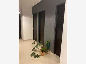 Departamento en venta en Jardines de Mocambo, Boca del Río — foto 2 de 10