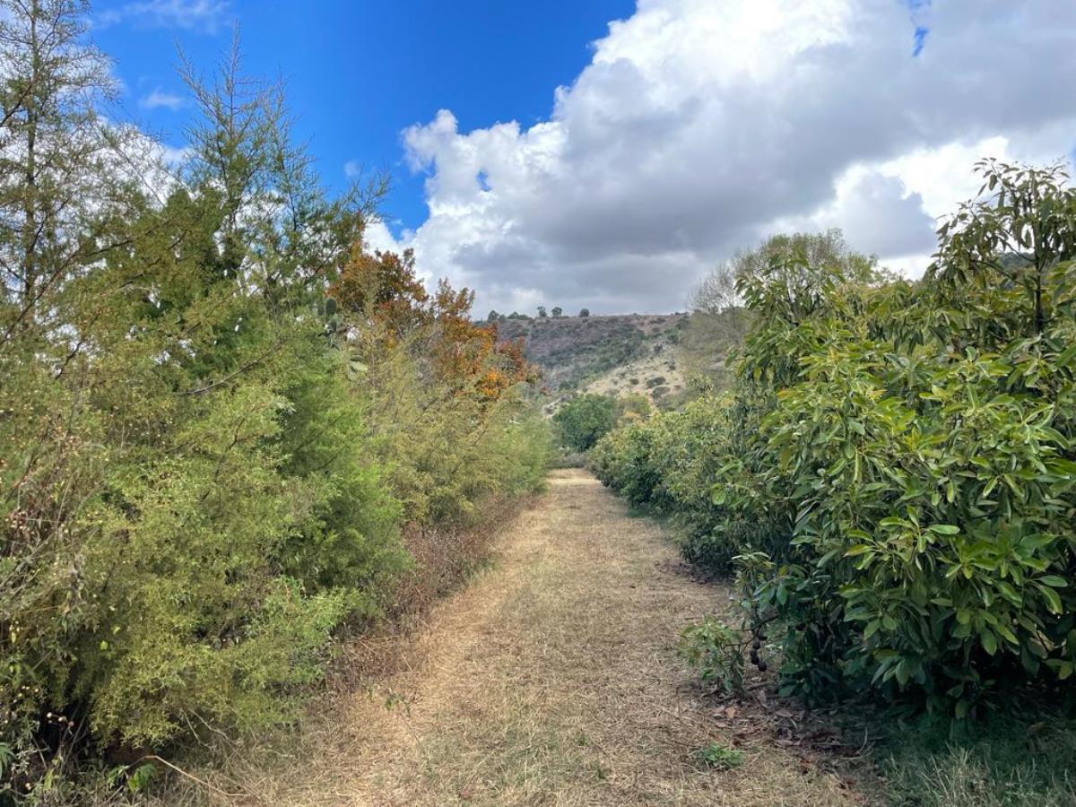 Finca-Rancho en venta en Tapalpa, Tapalpa — foto 1 de 30