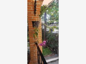 Casa en venta en Brisas, Temixco — foto 3 de 18