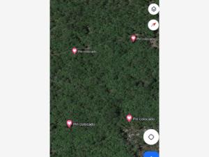 Terreno en venta en Chablekal, Mérida — foto 2 de 4