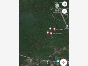 Terreno en venta en Chablekal, Mérida — foto 3 de 4