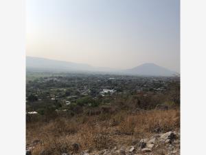 Terreno en venta en San Antonio Chiverias, Zacatepec — foto 3 de 7