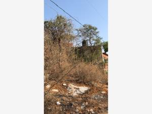 Terreno en venta en San Antonio Chiverias, Zacatepec — foto 2 de 7