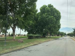 Terreno en venta en Las Trojes, Torreón — foto 3 de 12