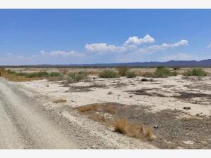 Terreno en venta en Parras, Parras — foto 2 de 10