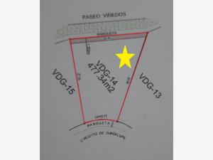 Terreno en venta en Los Viñedos, Torreón — foto 2 de 7