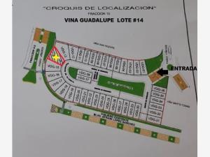 Terreno en venta en Los Viñedos, Torreón — foto 3 de 7