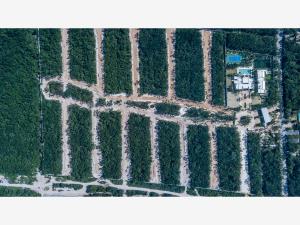 Terreno en venta en Bali, Solidaridad — foto 2 de 13