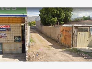 Terreno en venta en La Rueda, Lerdo — foto 2 de 4