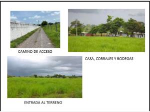 Terreno en venta en El Pando, Veracruz, Veracruz de Ignacio de la Llave