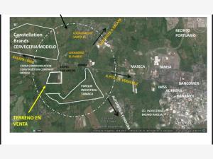 Terreno en venta en El Pando, Veracruz — foto 2 de 6