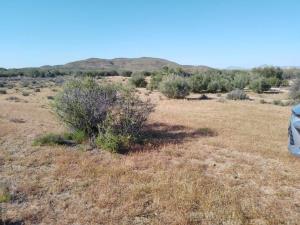 Terreno en venta en Heroes de la Independencia (llano Colorado), Ensenada — foto 2 de 9