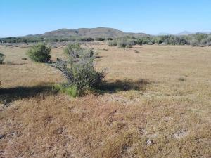 Terreno en venta en Heroes de la Independencia (llano Colorado), Ensenada — foto 3 de 9
