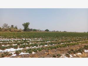 Terreno en venta en Colinas del Sur, Silao de la Victoria — foto 2 de 2