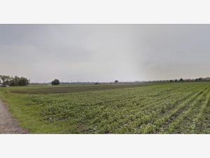 Terreno en venta en San Miguel Totocuitlapilco, Metepec — foto 2 de 3