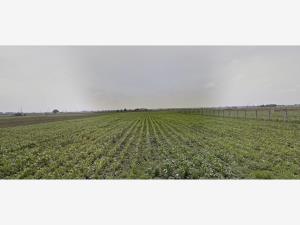 Terreno en venta en San Miguel Totocuitlapilco, Metepec — foto 3 de 3