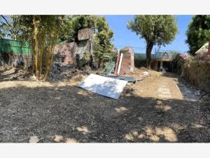 Terreno en venta en Jardines de Delicias, Cuernavaca — foto 3 de 5