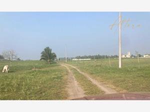 Terreno en venta en Tecolutla, Tecolutla — foto 3 de 4