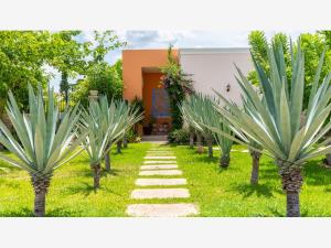 Casa en venta en Quintas Baspul, Chicxulub Pueblo — foto 3 de 41
