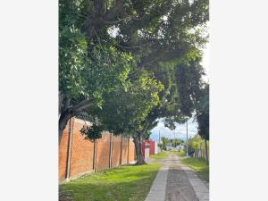 Terreno en venta en San Lorenzo los Jagüeyes, Atlixco — foto 3 de 9