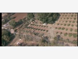 Terreno en venta en Tapalpa, Tapalpa — foto 2 de 56