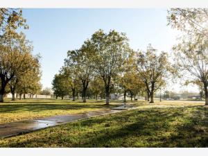 Terreno en venta en Las Trojes, Torreón — foto 2 de 6
