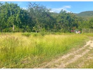 Terreno en venta en Cuernavaca Centro, Cuernavaca — foto 3 de 11