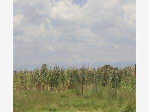 Terreno en venta en San Miguel Totocuitlapilco, Metepec — foto 2 de 2
