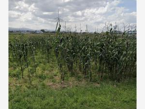 Terreno en venta en San Miguel Totocuitlapilco, Metepec — foto 2 de 3