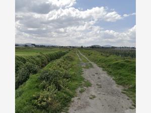 Terreno en venta en San Miguel Totocuitlapilco, Metepec — foto 3 de 3