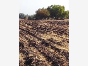 Terreno en venta en Huitzila, Tizayuca — foto 3 de 7