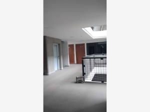 Departamento en renta en San Juan, Benito Juárez — foto 3 de 17