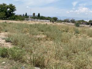 Terreno en venta en Las Cuevas, Lerdo — foto 3 de 20