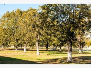 Terreno en venta en Las Trojes, Torreón — foto 3 de 5