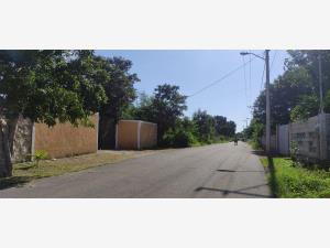 Casa en venta en San Jose Tzal, Mérida — foto 2 de 29