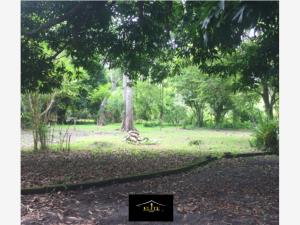 Terreno en venta en Paso del Toro, Medellín de Bravo — foto 2 de 11