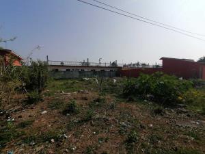 Terreno en venta en Mandinga y Matoza, Alvarado — foto 3 de 6