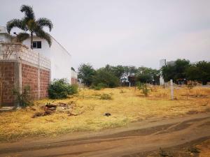 Terreno en venta en Yecapixtla, Yecapixtla — foto 3 de 5