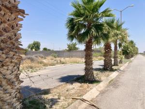 Terreno en venta en Residencial Lumbalca, Matamoros — foto 3 de 12