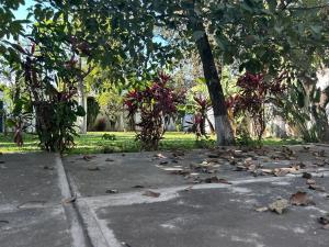 Casa en venta en Otilio Montaño, Cuautla — foto 2 de 18