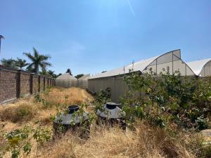 Finca-Rancho en venta en La Joya (Agropecuaria Tenextepec), Atlixco — foto 3 de 29