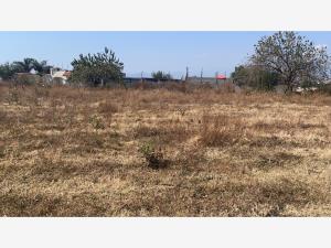 Terreno en venta en Atlatlahucan, Atlatlahucan — foto 2 de 11