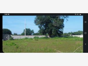 Terreno en venta en Jantetelco Centro, Jantetelco, Morelos